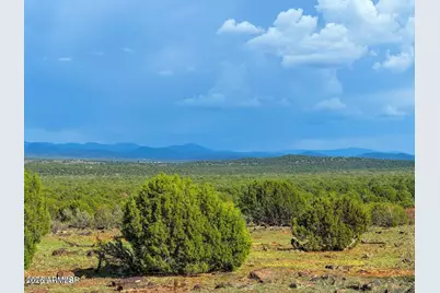 8087 Mustang Ln 20 Acres -- #-, Show Low, AZ 85901 - Photo 5