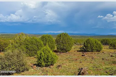 8087 Mustang Ln 20 Acres -- #-, Show Low, AZ 85901 - Photo 11