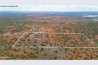 8087 Mustang Ln 20 Acres -- #-, Show Low, AZ 85901 - Photo 3