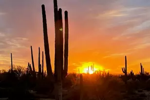 0000 Sandra --, Marana, AZ 85658 - Photo 1
