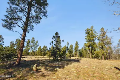 1220 E Caribou Road, Munds Park, AZ 86017 - Photo 37