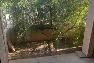 3131 W Cochise Dr, Phoenix, AZ 85051 - Photo 3