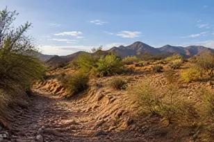 209 N Elizabeth St, Gold Canyon, AZ 85118 - Photo 1