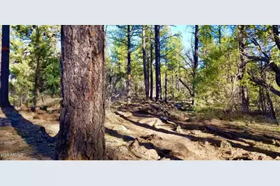 2259 E T Bear Trail #'-', Lakeside, AZ 85929 - Photo 3