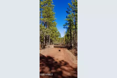 2259 E T Bear Trail #'-', Lakeside, AZ 85929 - Photo 5