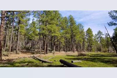 2259 E T Bear Trail #'-', Lakeside, AZ 85929 - Photo 1