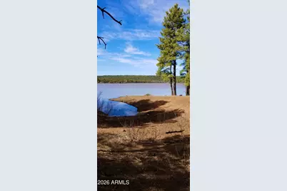 2259 E T Bear Trail #'-', Lakeside, AZ 85929 - Photo 7
