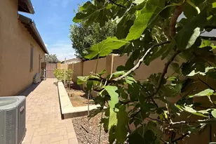 2307 E Mahogany Pl, Chandler, AZ 85249 - Photo 57