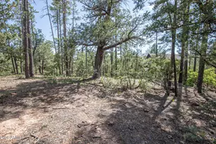 243 N Wild Oak Dr, Payson, AZ 85541 - Photo 39