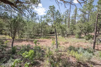 243 N Wild Oak Drive, Payson, AZ 85541 - Photo 41