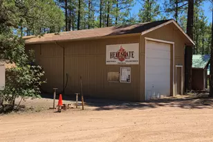 243 N Wild Oak Dr, Payson, AZ 85541 - Photo 51