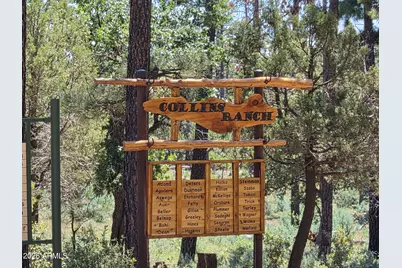 243 N Wild Oak Drive, Payson, AZ 85541 - Photo 49