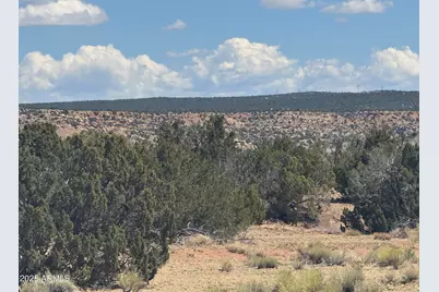 Lot 752 Woodland Valley Ranch -- #752, Saint Johns, AZ 85936 - Photo 7