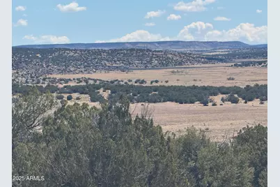 Lot 752 Woodland Valley Ranch -- #752, Saint Johns, AZ 85936 - Photo 5