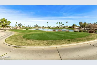 26622 S New Town Drive, Sun Lakes, AZ 85248 - Photo 53