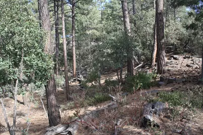 000 N Sundown Lane Lane #104, Pine, AZ 85544 - Photo 9