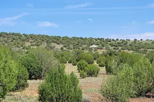 50400 N Starship Trail, Ash Fork, AZ 86320 - Photo 3