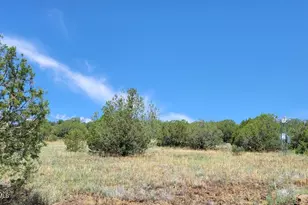 50400 N Starship Trail, Ash Fork, AZ 86320 - Photo 23