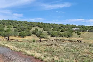 50400 N Starship Trail, Ash Fork, AZ 86320 - Photo 5
