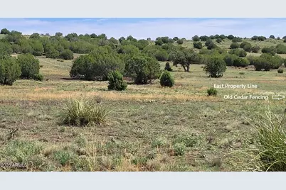 50400 N Starship Trail, Ash Fork, AZ 86320 - Photo 15