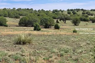 50400 N Starship Trail, Ash Fork, AZ 86320 - Photo 15