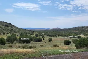 50400 N Starship Trail, Ash Fork, AZ 86320 - Photo 13