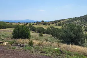50400 N Starship Trail, Ash Fork, AZ 86320 - Photo 21