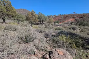 3850 N Mazatzal Vista, Pine, AZ 85544 - Photo 23