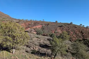 3850 N Mazatzal Vista, Pine, AZ 85544 - Photo 95