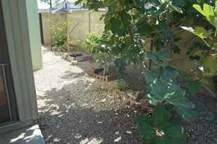 6532 W Lupine Ave, Glendale, AZ 85304 - Photo 21