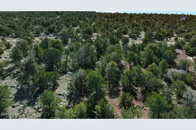 766 E Hualpai Trail #178, Williams, AZ 86046 - Photo 5