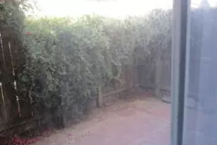 3637 E Monterosa St, Phoenix, AZ 85018 - Photo 13