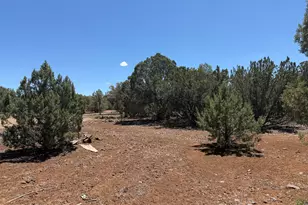 1886 White Tail Pl, Show Low, AZ 85901 - Photo 1