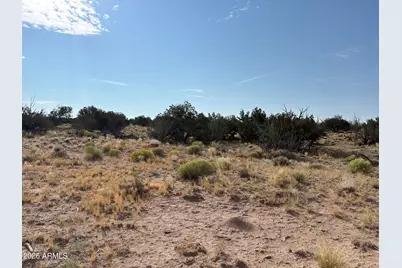 0 Coyote Run #577, Saint Johns, AZ 85936 - Photo 7