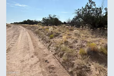 0 Coyote Run #577, Saint Johns, AZ 85936 - Photo 5