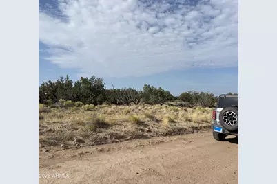 0 Coyote Run #577, Saint Johns, AZ 85936 - Photo 3
