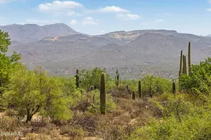 18313 E Spring Valley Ct, Rio Verde, AZ 85263 - Photo 41