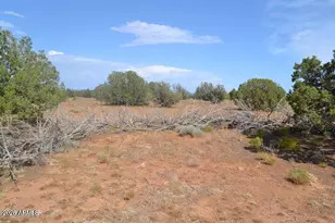 1771 W Ridgeview Rnch Dr, Snowflake, AZ 85937 - Photo 11