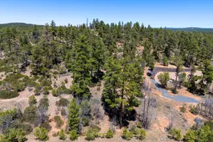 6007 Rim Rd, Lakeside, AZ 85929 - Photo 1