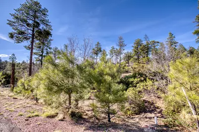 6007 Rim Road #066, Lakeside, AZ 85929 - Photo 9