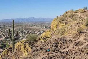 27810 N Silverado Ranch Rd, Peoria, AZ 85383 - Photo 75