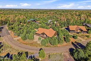 2276 Thunderbird Way, Overgaard, AZ 85933 - Photo 25