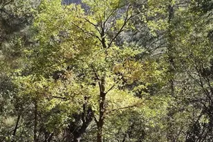 8351 N State Rte 89A, Sedona, AZ 86336 - Photo 35