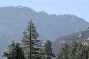 8351 N State Rte 89A, Sedona, AZ 86336 - Photo 29