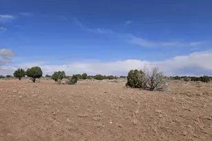 15 N 9079 --, Concho, AZ 85924 - Photo 3