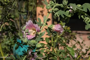 30 Rim Trail Cir, Sedona, AZ 86351 - Photo 33