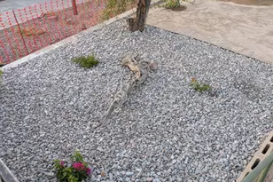 1411 E Sierra St, Phoenix, AZ 85020 - Photo 15