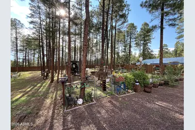 174 Elk Drive, Lakeside, AZ 85929 - Photo 39