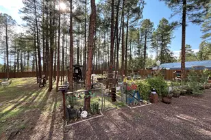 174 Elk Dr, Lakeside, AZ 85929 - Photo 39