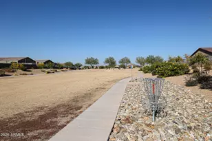 34358 N Timberlake Manor, San Tan Valley, AZ 85144 - Photo 53